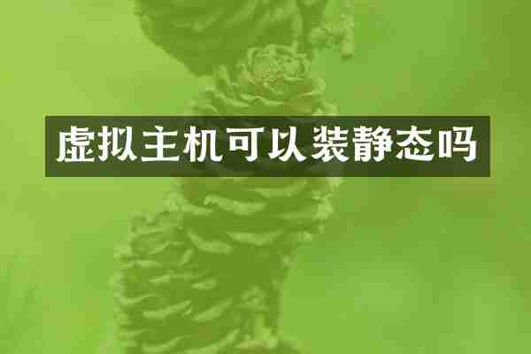 虚拟主机可以装静态吗