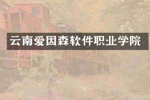 云南爱因森软件职业学院