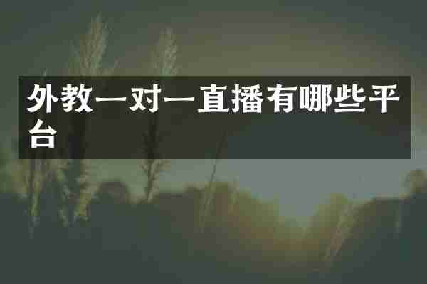 外教一对一直播有哪些平台