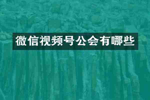 微信视频号公会有哪些