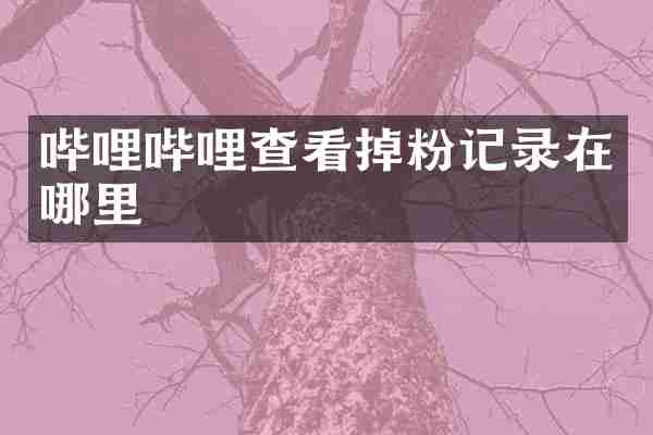 哔哩哔哩查看掉粉记录在哪里
