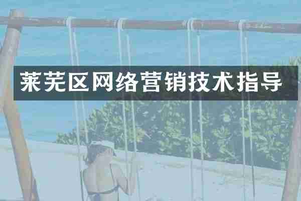 莱芜区网络营销技术指导