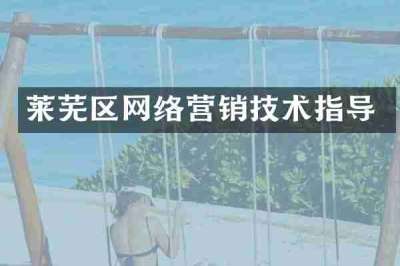 莱芜区网络营销技术指导