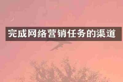 完成网络营销任务的渠道
