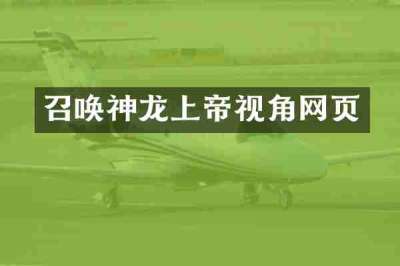 召唤神龙上帝视角网页