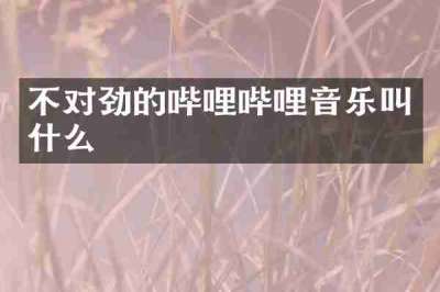 不对劲的哔哩哔哩音乐叫什么