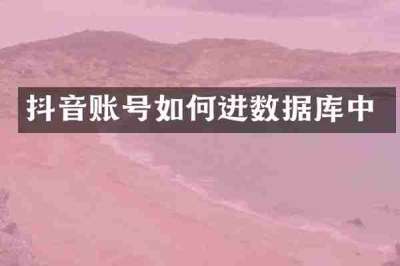 抖音账号如何进数据库中