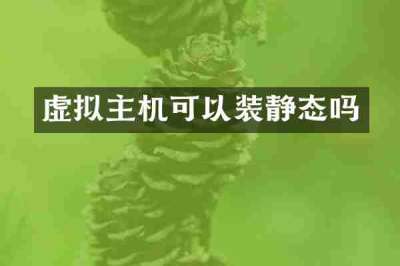 虚拟主机可以装静态吗