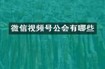 微信视频号公会有哪些
