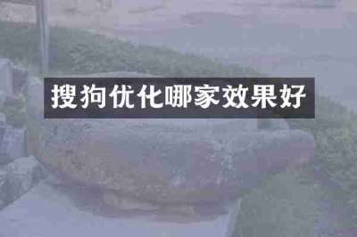 搜狗优化哪家效果好