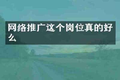 网络推广这个岗位真的好么