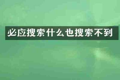 必应搜索什么也搜索不到