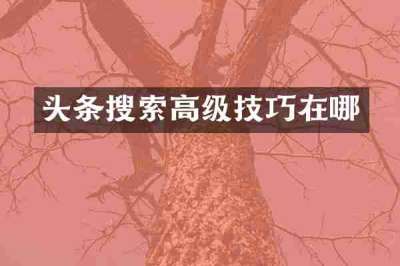 头条搜索高级技巧在哪