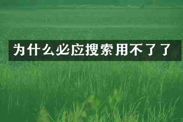 为什么必应搜索用不了了