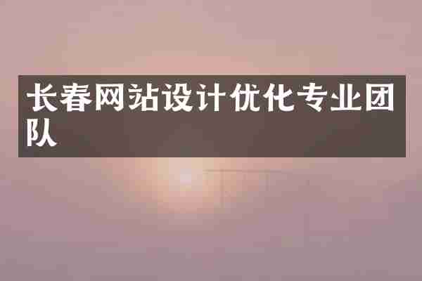 长春网站设计优化专业团队