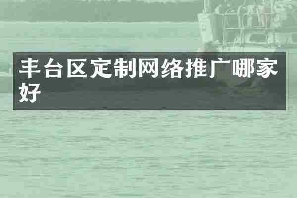丰台区定制网络推广哪家好