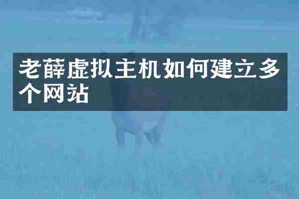 老薛虚拟主机如何建立多个网站