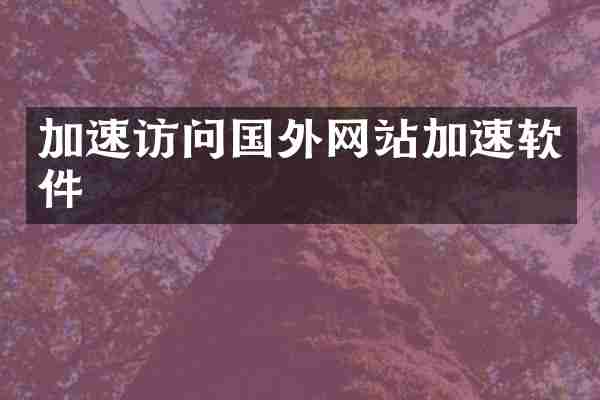 加速访问国外网站加速软件