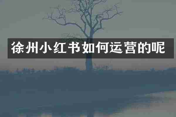 徐州小红书如何运营的呢