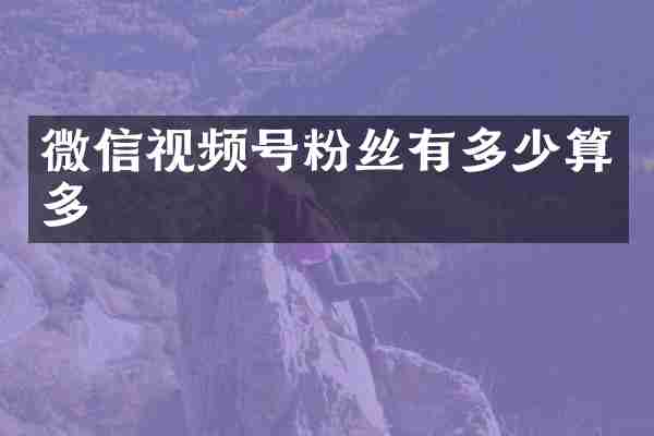 微信视频号粉丝有多少算多