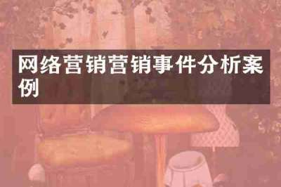 网络营销营销事件分析案例