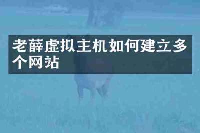 老薛虚拟主机如何建立多个网站
