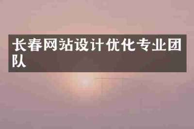 长春网站设计优化专业团队