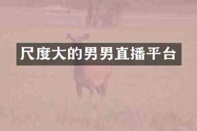 尺度大的男男直播平台