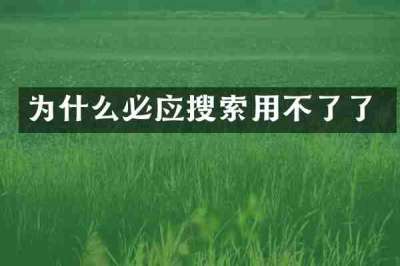 为什么必应搜索用不了了