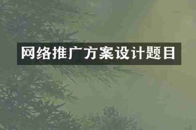 网络推广方案设计题目