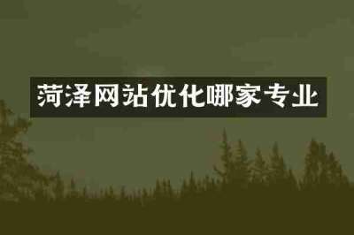 菏泽网站优化哪家专业