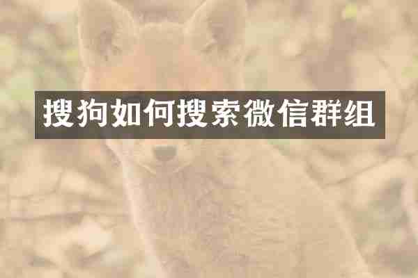 搜狗如何搜索微信群组