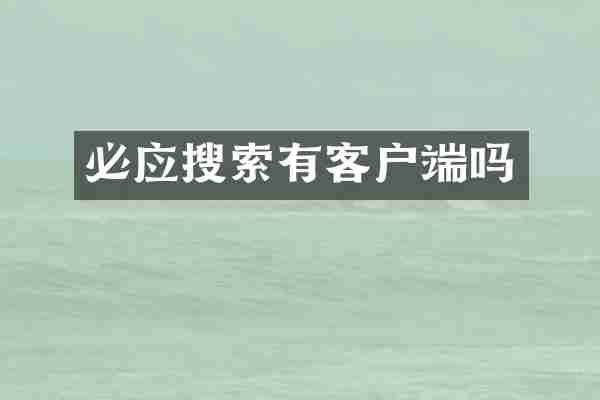 必应搜索有客户端吗