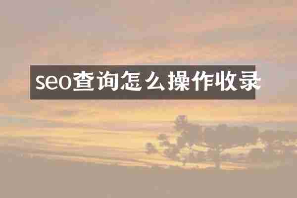 seo查询怎么操作收录