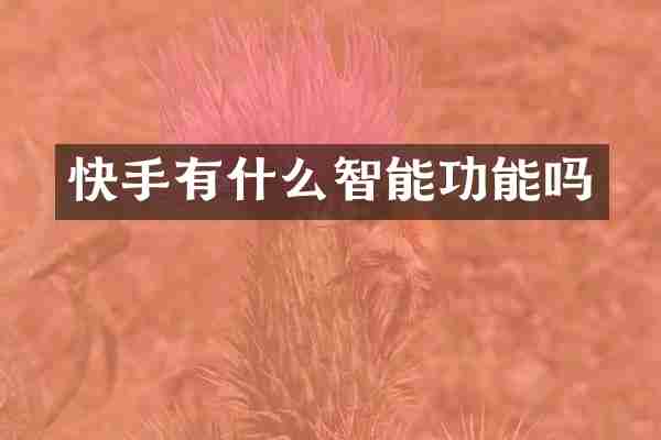 快手有什么智能功能吗