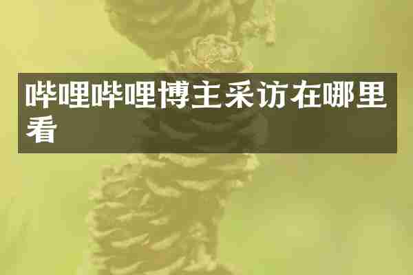 哔哩哔哩博主采访在哪里看