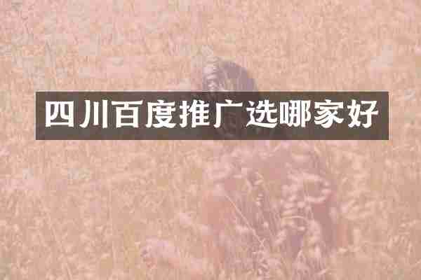 四川百度推广选哪家好