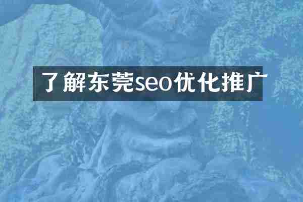 了解东莞seo优化推广