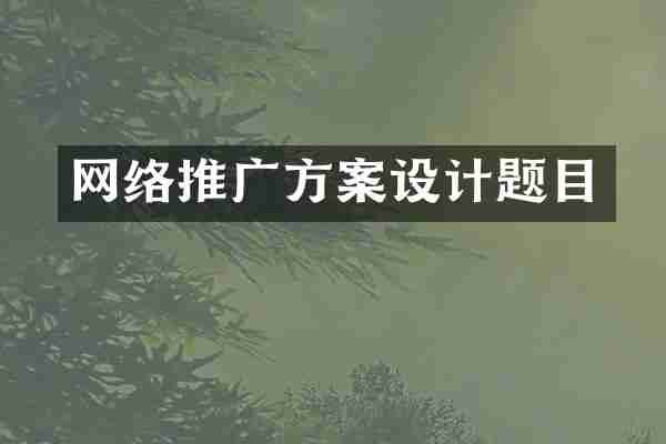 网络推广方案设计题目