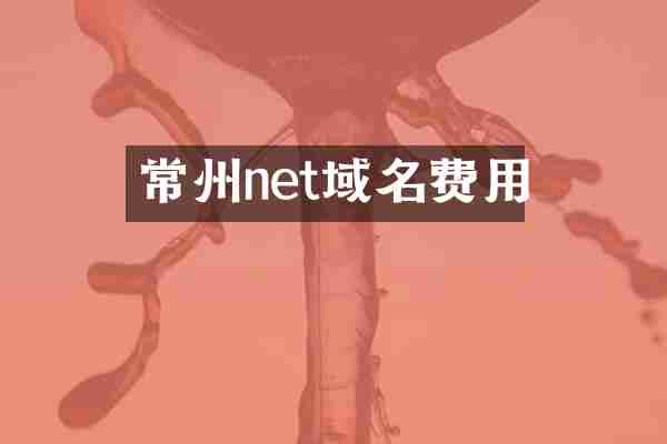 常州net域名费用
