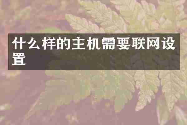 什么样的主机需要联网设置