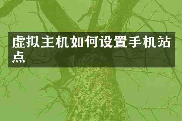 虚拟主机如何设置手机站点