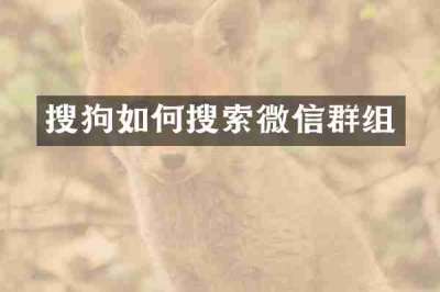 搜狗如何搜索微信群组
