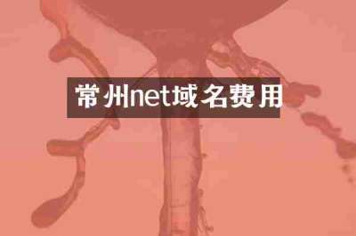 常州net域名费用