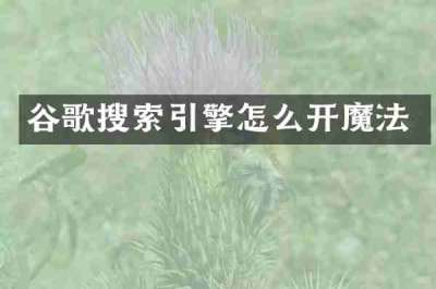 谷歌搜索引擎怎么开魔法