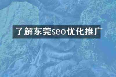 了解东莞seo优化推广