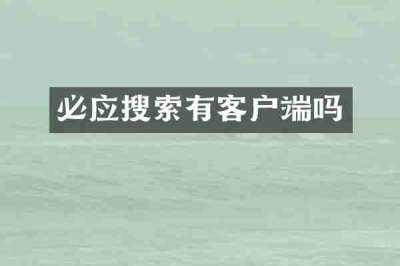 必应搜索有客户端吗