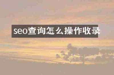 seo查询怎么操作收录