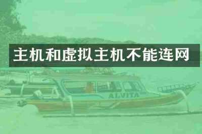 主机和虚拟主机不能连网