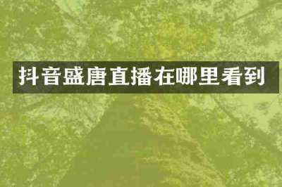 抖音盛唐直播在哪里看到